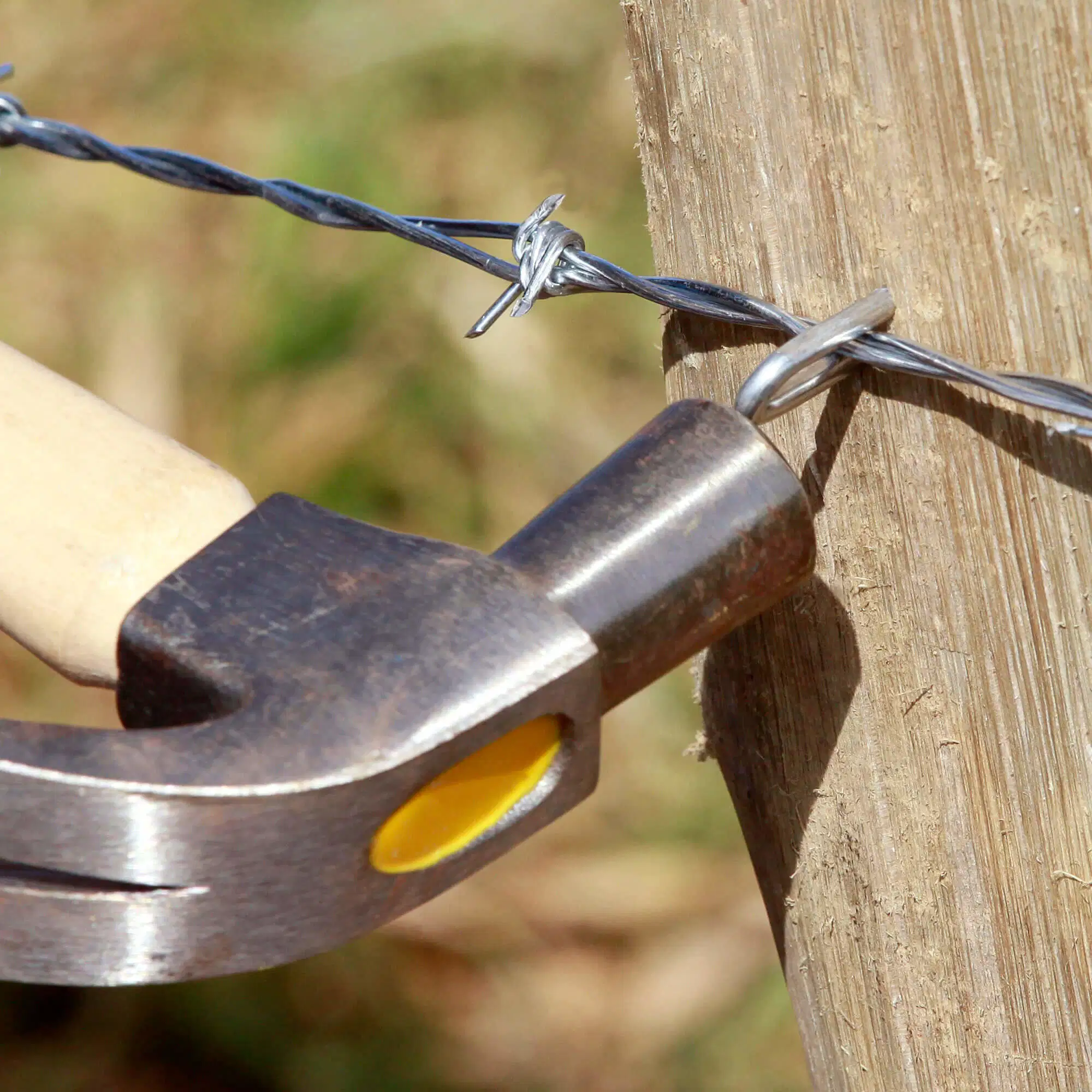 Fence Staple Side Cut Point Nails Barbed Shape Nails U Tape Nails