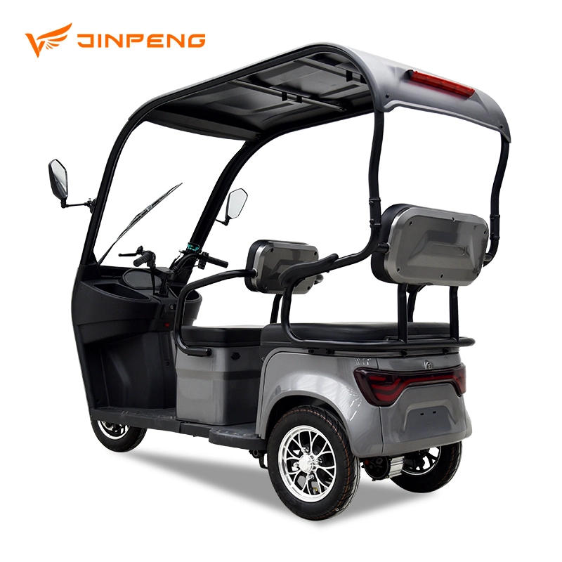 New Arrival Electric Tricycle with Roof Made in China