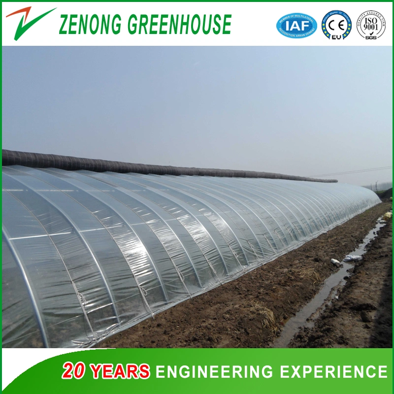 Single Span Small Size Solar Green House for Family Vegetable Cultivation/Farming/Agriculture/Gardening