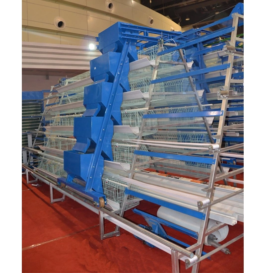 Botswana Poultry Farm Equipment a Type Automatic Chicken Layer Cage