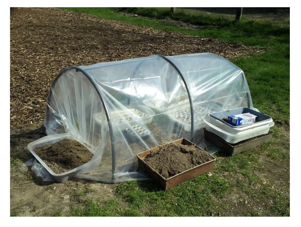 Agricultural Plastic Film Greenhouses Prices From China