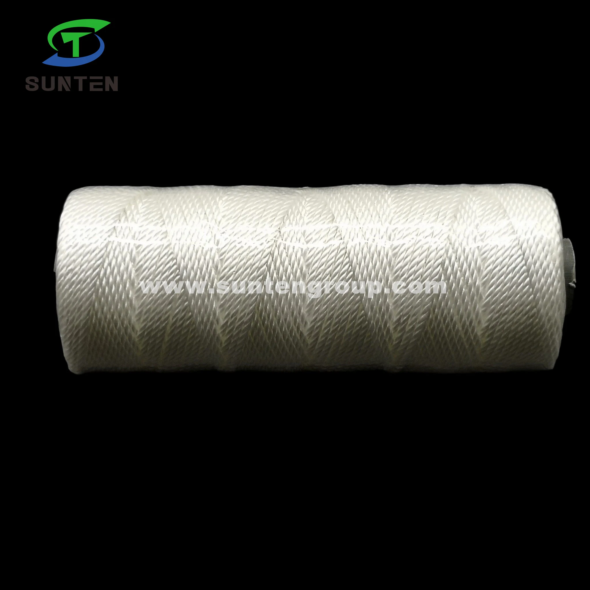 High Tenacity White PA/PE/PP/Polyester/Nylon Plastic Twisted/Braided/Braid/Baler/Thread/Packing Line/Fishing Net Line by Spool/Reel/Bobbin/Hank