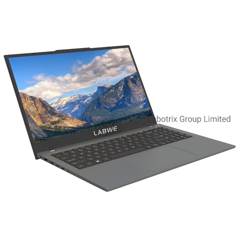 15.6 بوصة 1920×1080 IPS Intel Core i3-10110u 8g RAM 256 جيجا بايت محرك الأقراص ذات الحالة الصلبة Windows10 كمبيوتر محمول Office