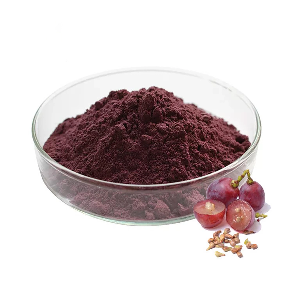 High Purity Plant Extract Grape Seed Extract >95% OPC (100% Natural) Plant Herbal Extract Powder Vitis Vinifera Food Additive Antioxidant Proanthocyanidins