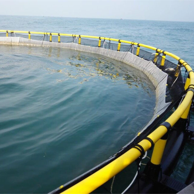 Acuicultura de Mar profundo cría de peces jaula neta