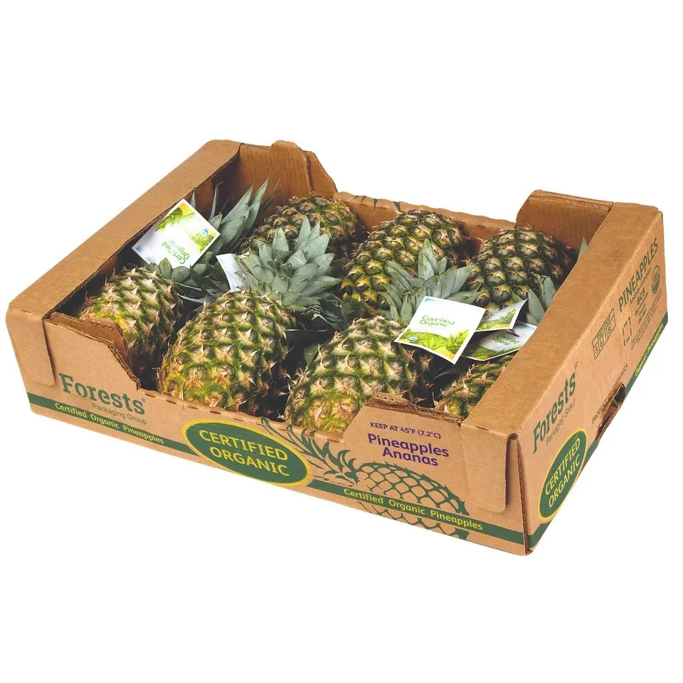 Boîtes en carton ondulé personnalisées en gros pour emballage de fruits rectangulaires de cerises, d'ananas, de bananes et de pommes.