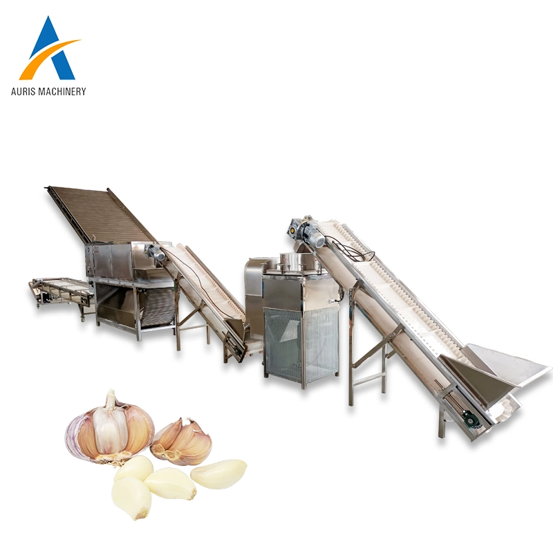 High Capacity Automatic Garlic Processing Line Garlic Bulbs Dividing Garlic Cloves Peeling Machine