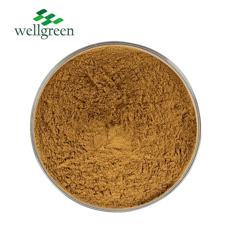 Wellgreen Free Sample 20: 1 Passion Flower Extract Powder Passiflora Incarnata Passion Flower P. E