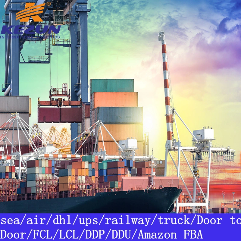 Best China Sea Freight Forwarder FCL LCL Ocean Freight Logistics Shipping From China to Brazil Door to Door