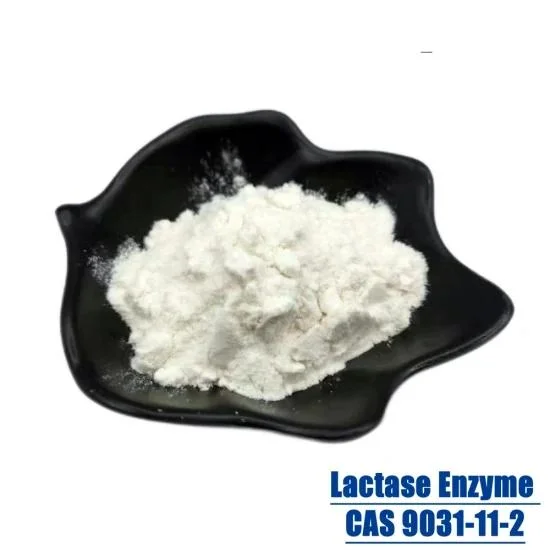 10, 000u/G Activity Powder Lactase Enzyme 9031-11-2