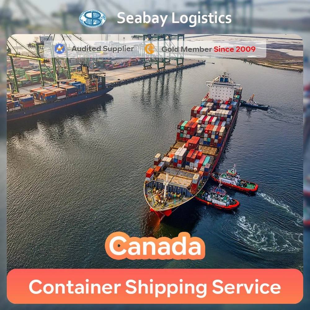 Shenzhen and Guangzhou Professional Ocean Freight Forwarding Service to Vancouver Montreal Toronto