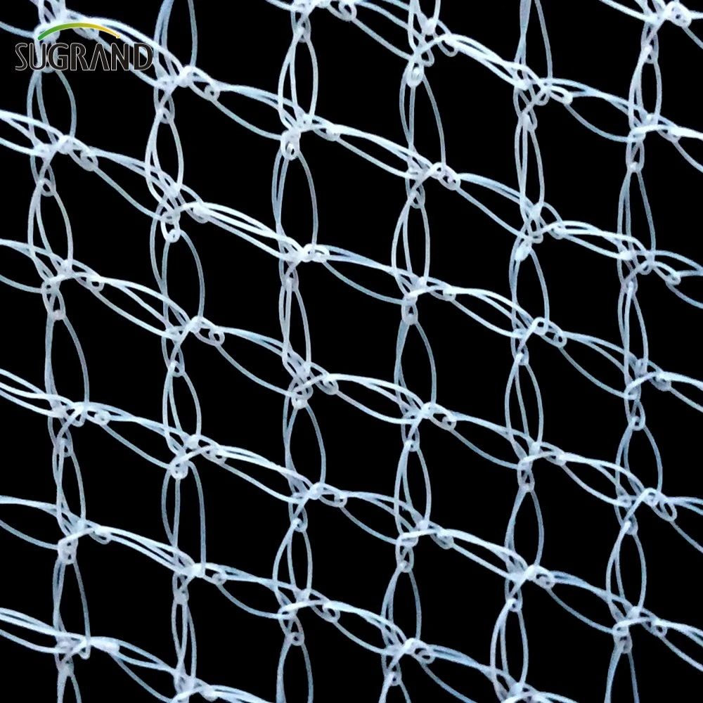 Customizable Various Agricultural Anti Bird Netting