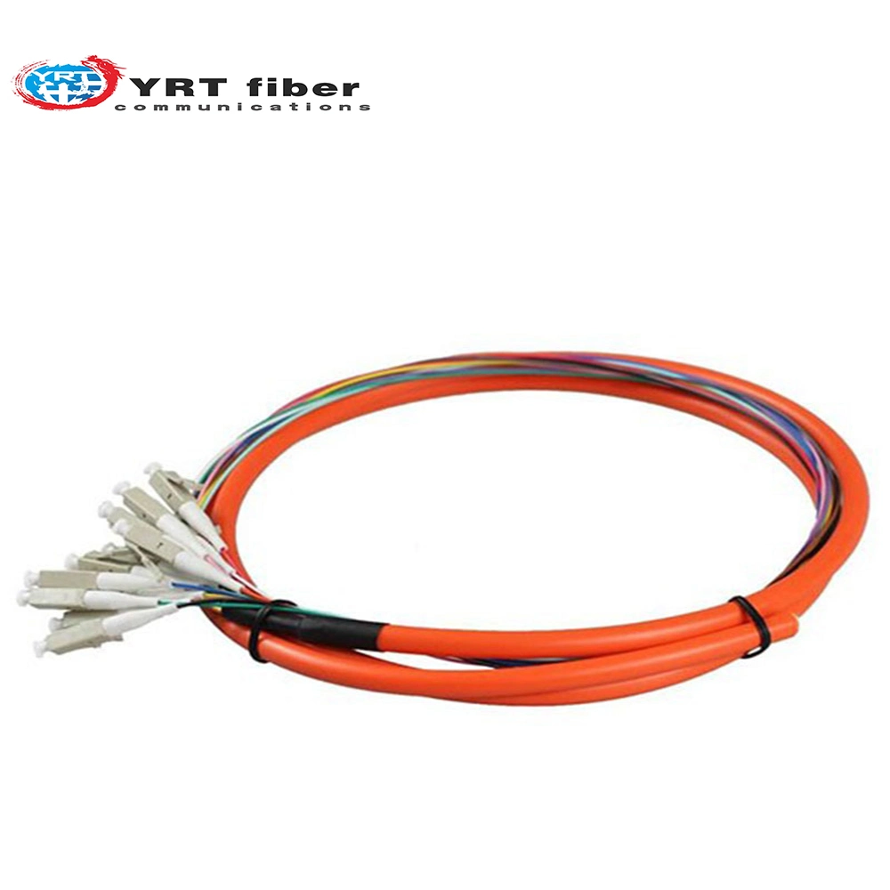 Indoor and Outdoor 12 Core Sc/APC Bundle Tail Fiber