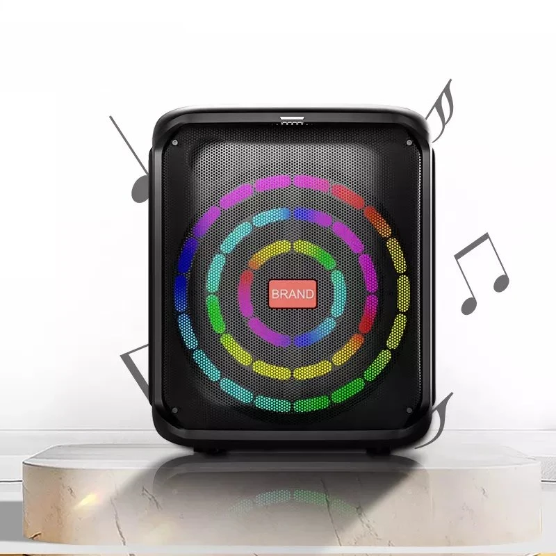 Temeisheng 8 pulgadas Bluetooth inalámbrico portátil de Karaoke al aire libre Fiesta altavoz