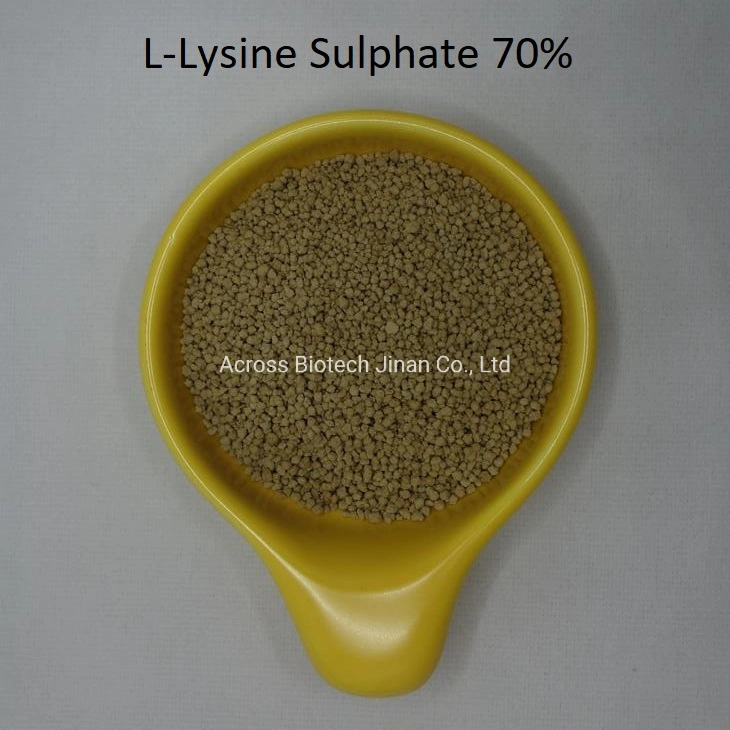Wholesale/Supplier L-Lysine Sulphate 70% Feed Grade for Cattle/Pig/Poultry