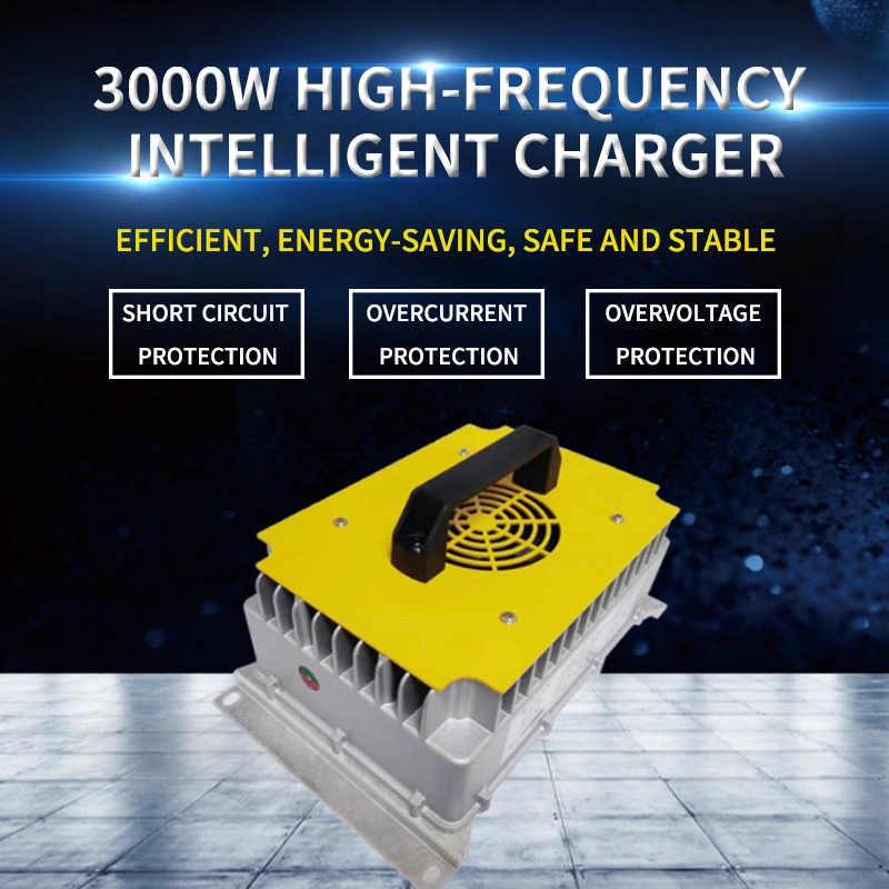 Customized 3000W Series Industrial Battery Charger with High Frequency Rectifier