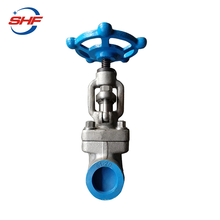 F304 F316 Hot Steam Globe Valve Bellow Seal Stainless Steel Forged Globe Valve