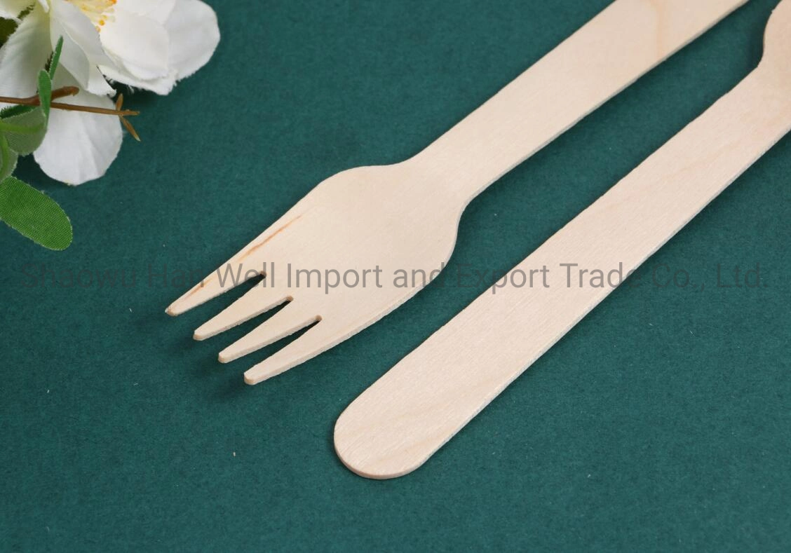 Best Disposable Bamboo Kitchen Cutlery Sets Fork and Knife