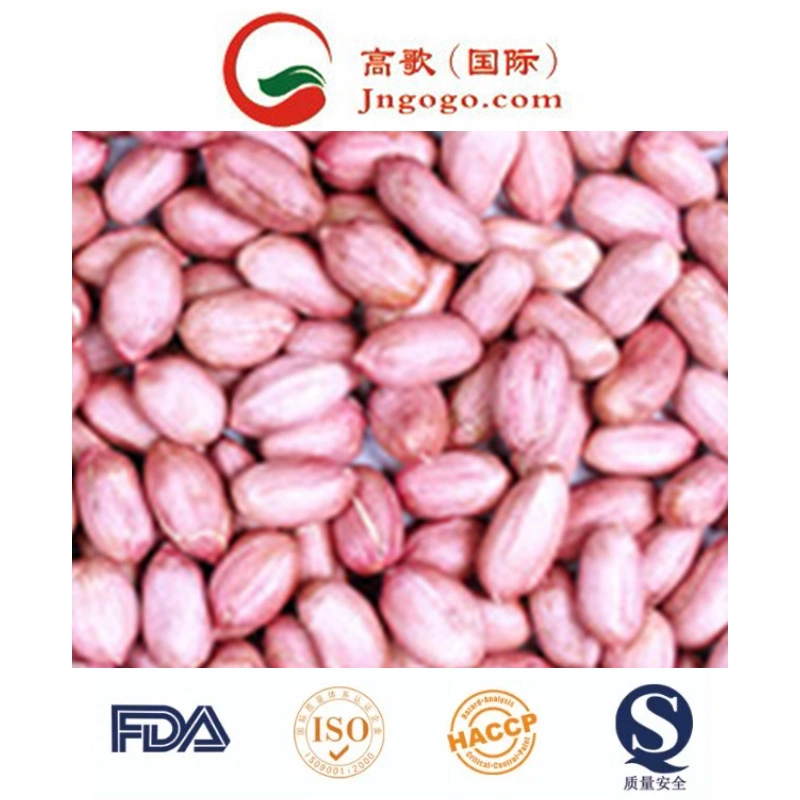 New Crop High Quality Red Skin Peanut Kernels (24/28, 28/32)