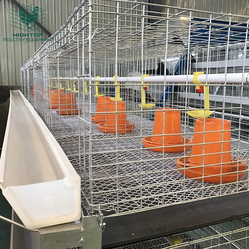 H Type Broiler  Battery Cages for Kenya Poultry Farm
