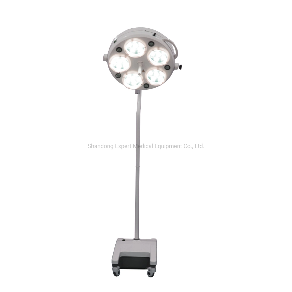 Operating Room Single Head Cheap LED Shadowless Surgery Exam Light Hospital Operating Lamp