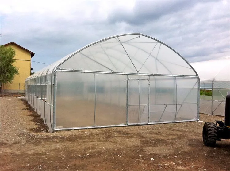 WMGH027 Supplier Multi-span flower green house Plastic Film Agriculture Greenhouses