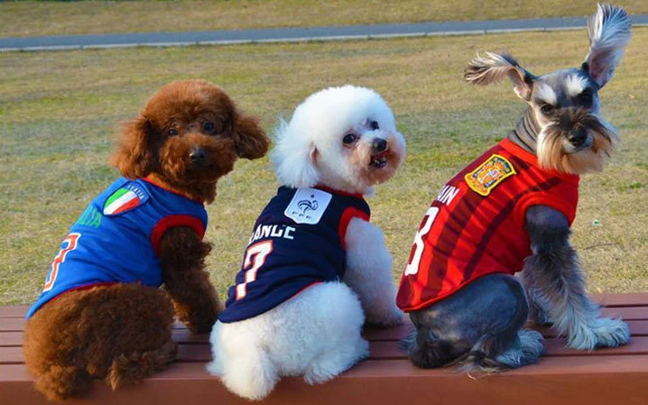 ملابس الكلب ماش وايستاطف كرة القدم الزي الموحد لكرة السلة ارتداء القط الحيوانات الأليفة ملابس كلب [فست] فرنسيّة مصارعة الثيران [تيدي] محبوبة أباريل