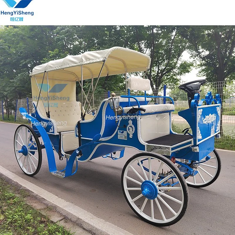 Special Transportation for Sightseeing Tourism Horse Carriage for Sale