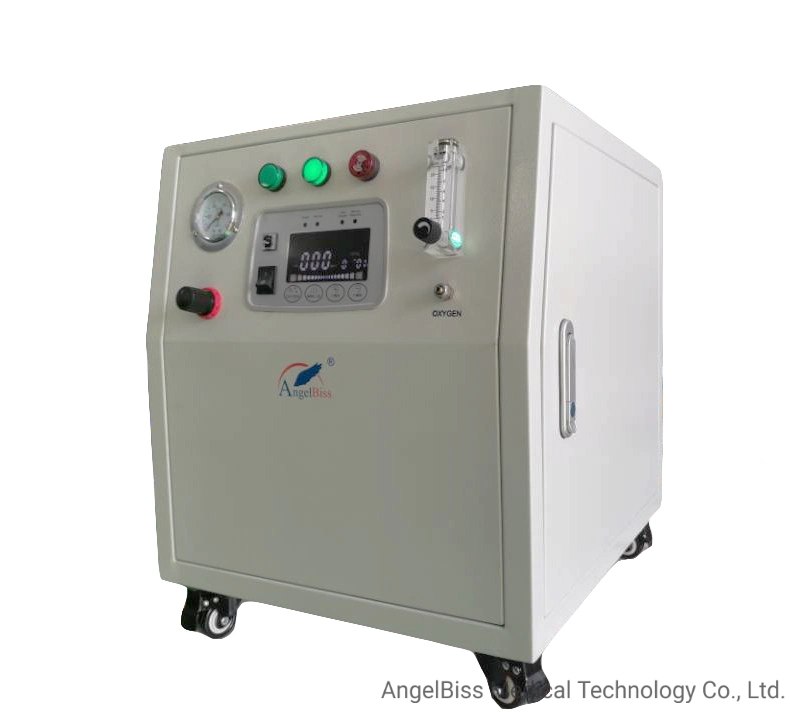 Electric Industry High Purity Psa Oxygen Generator (10LPM 0.4MPa)