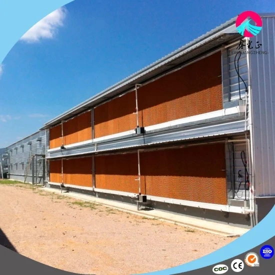 Professional Design Self-Operated Modern Fully Automatic Steel Poultry Farm