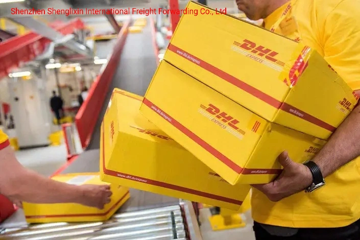 Ultra Bajo DHL Freight, Enviado a Estados Unidos, Canadá, México, Europa, Sudeste Asiático, Emiratos Árabes Unidos, América del Sur y Países Africanos