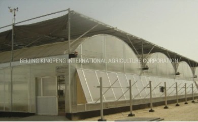 Single Span Light Tunnel Film Plastic Greenhouses for Vegetables