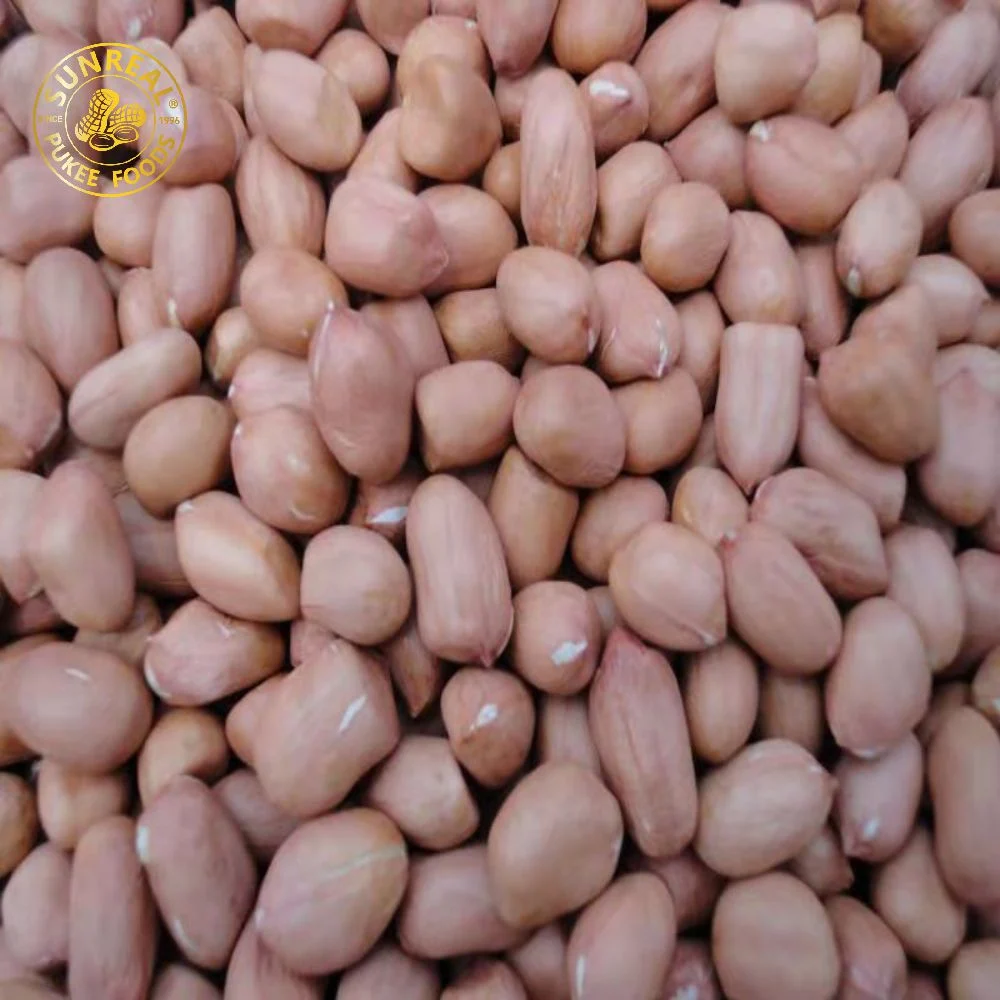 Raw Peanut Kernels 50/60 Hsuji Type Best Quality Gorgeous Packages