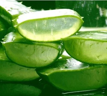 Best Quality Manufacturer Supply 100: 1 200: 1 Aloe Vera Extract