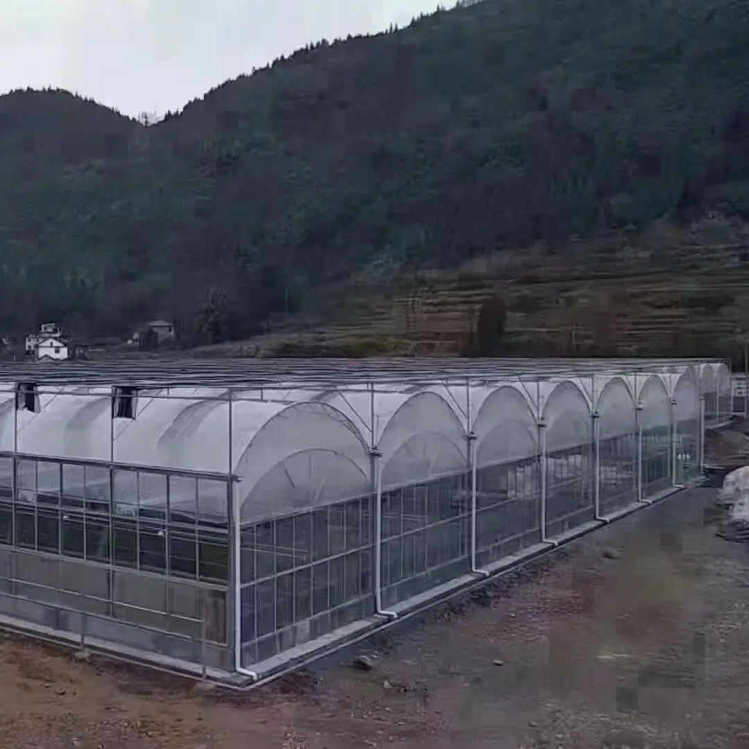 Factory Wholesale/Supplier Vegetable Agricultural Plastic Film Greenhouse for Sale