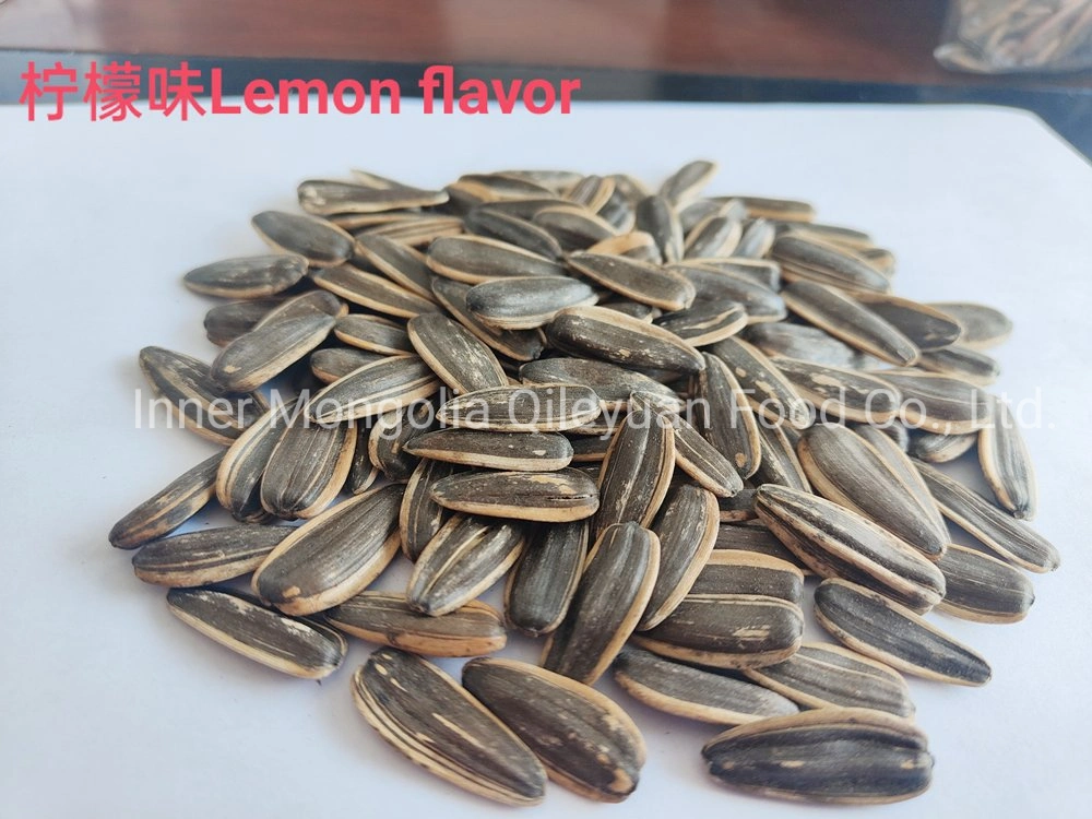 Big Size Cha Salted White Sunflower Seeds for Export