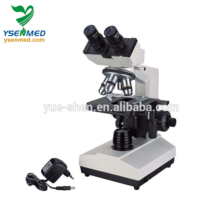 Medical Equipment Laboratory Ysxwj107bn Medical Equipment Binocular Microscope