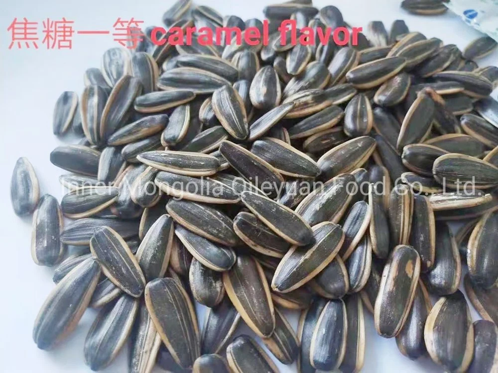 Big Size Cha Salted White Sunflower Seeds for Export