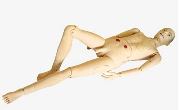 L'alimentation nasogastrique trachée mannequin de formation sur simulateur de modèle de soins de SLV-9021