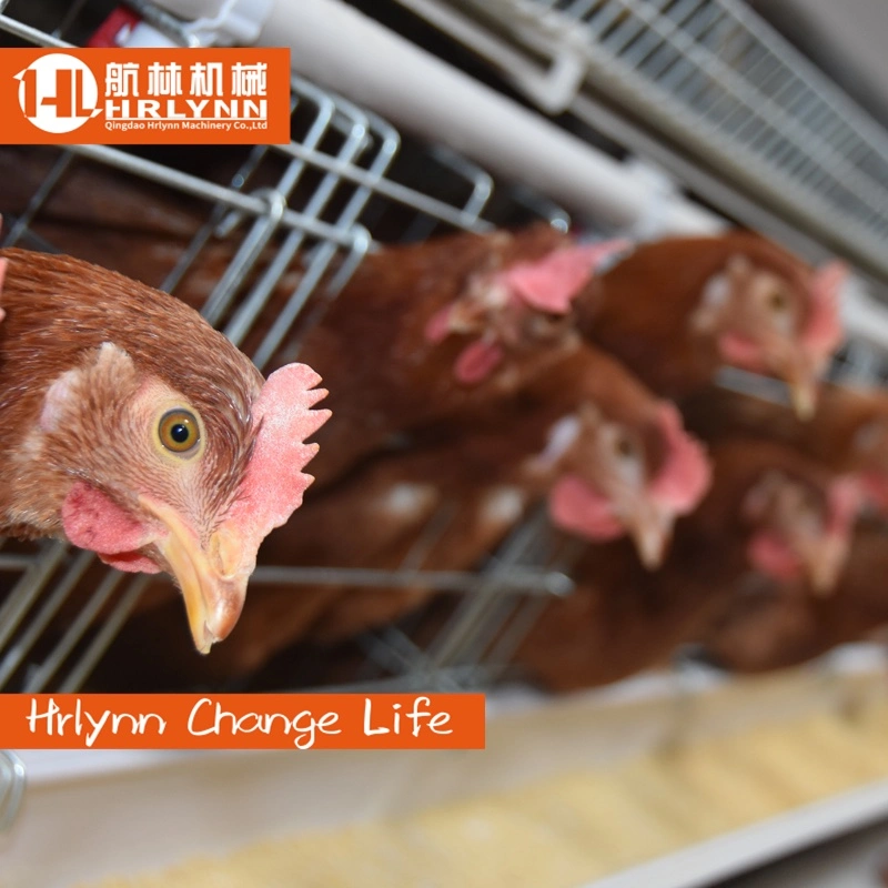 Chinas Top-Lieferant von Schichten Chicken Battery Cage
