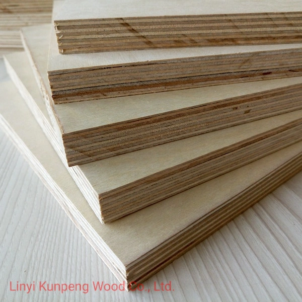 C/D Grade Birch Plywood with Poplar Core for Furniture