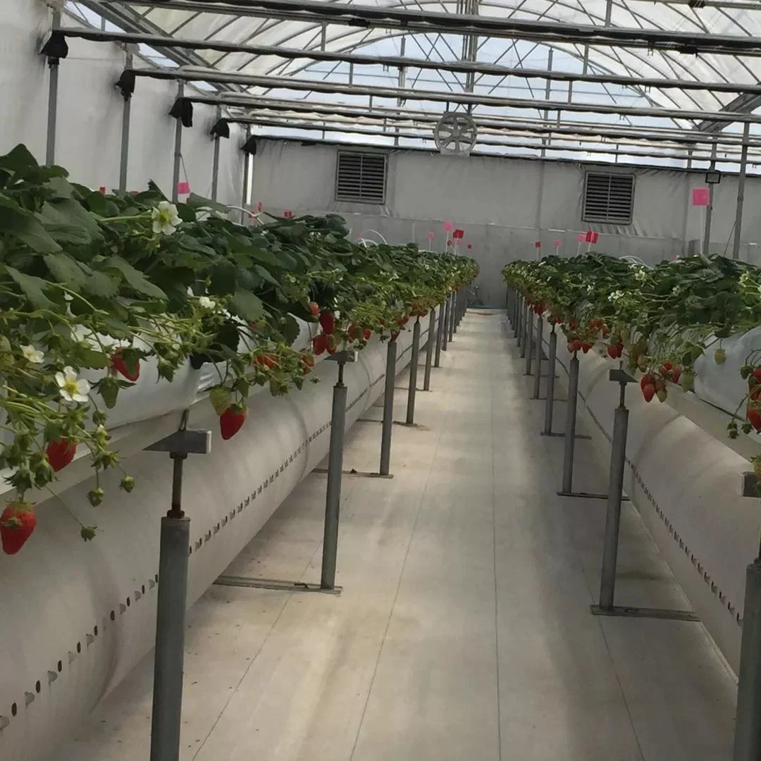 Canal Nft de PVC de cultivo hidropónico Hidroponía el sistema de encuadernación para el cultivo de invernadero de la fresa