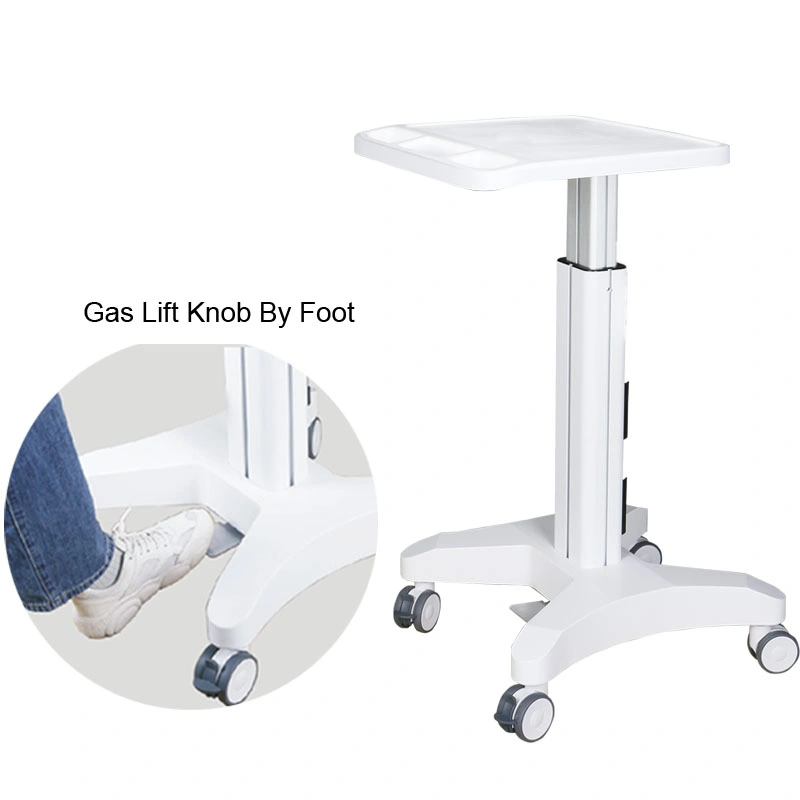 Gas Lift Mobile Medical Laptop Workstation