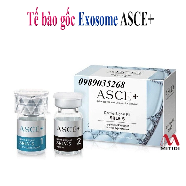 Korea Asce Srlv-S Exosome Freeze-Dried Powder 20mg+ Essence 5ml Ha Acne Inflammation Skin Regeneration Anti-Wrinkle Anti-Aging Anti-Inflammatory Anti-Allergic