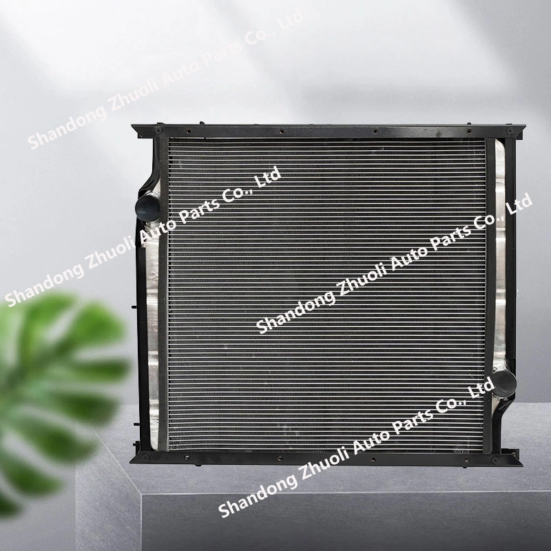 Radiateur d'eau pour système de chauffage dans le ventilateur laser Wg9725530011 Wg9725530120 Radiateur d'ordinateur Beauté machine médicale