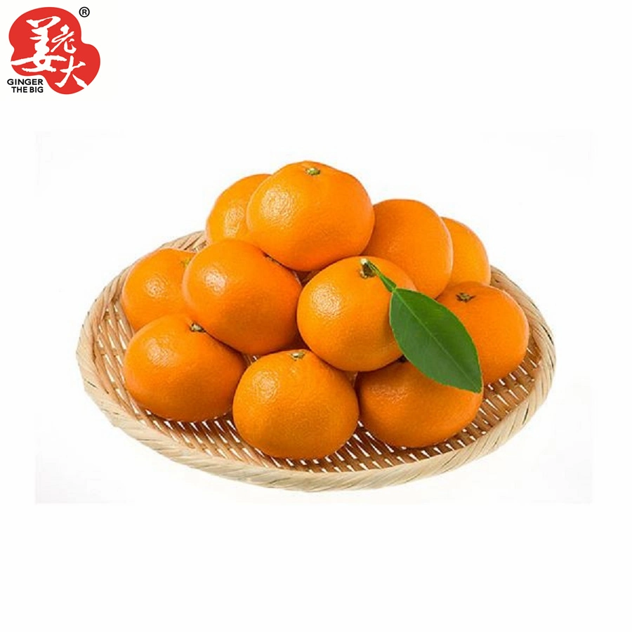 Fresh Small Size Baby Mandarine Orange