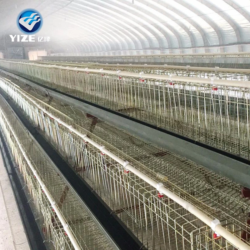 Tanzania Galvanized Layer Poultry Farm Chicken Cage for Sale