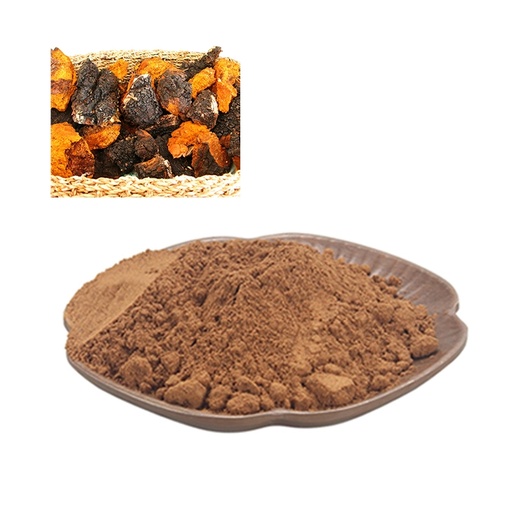 Organic Mushroom Extract Chaga Mushroom Powder Chaga Extract Chaga Mushroom Water Soluble