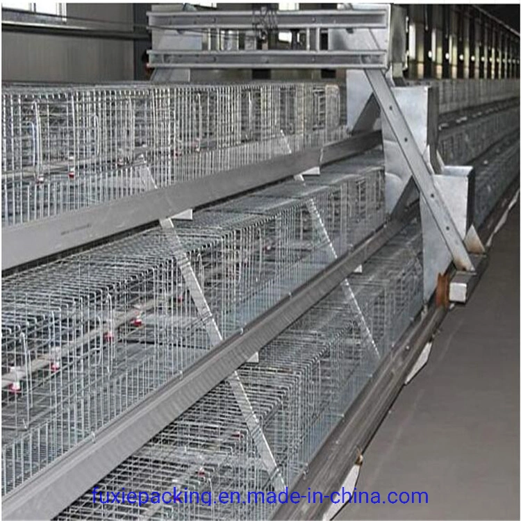 Supply Completely Automatic Laying Hen/Egg Layer Battery H Type Chicken Cages System