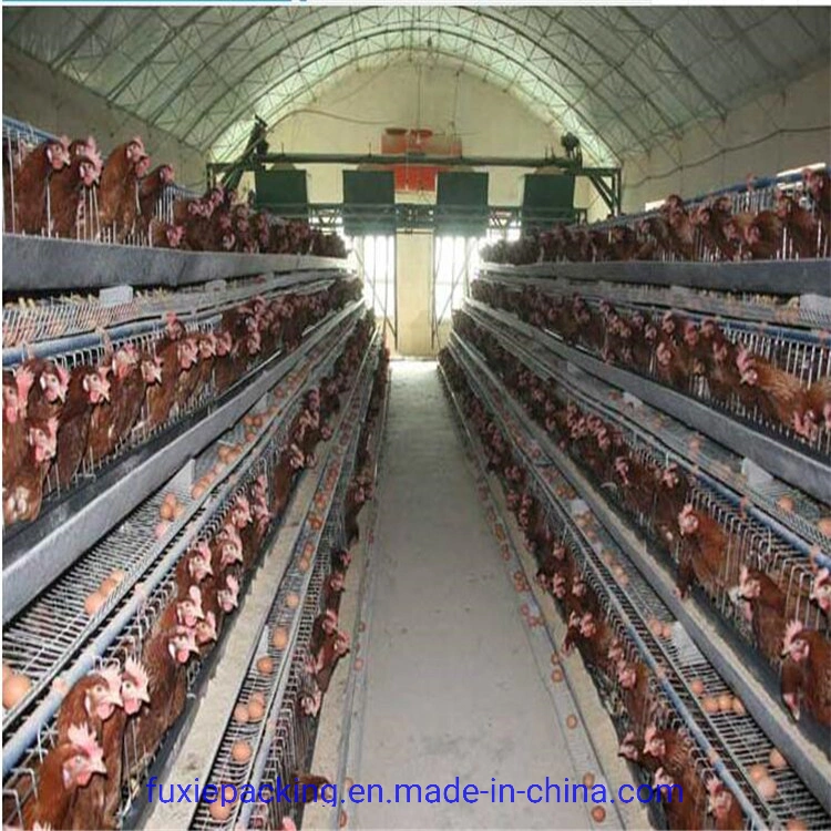 Supply Completely Automatic Laying Hen/Egg Layer Battery H Type Chicken Cages System